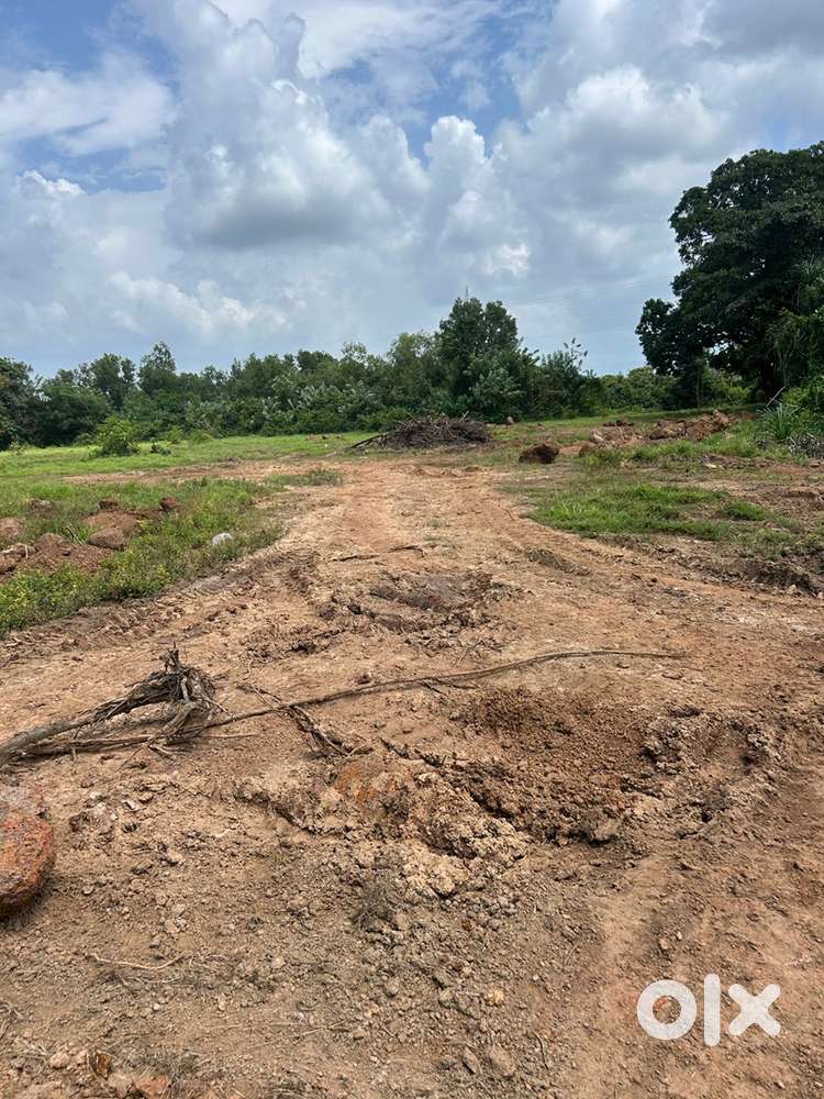 settlement and orchard plot for sale
