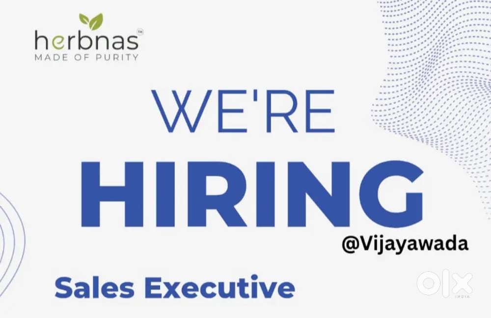 Sales Executive