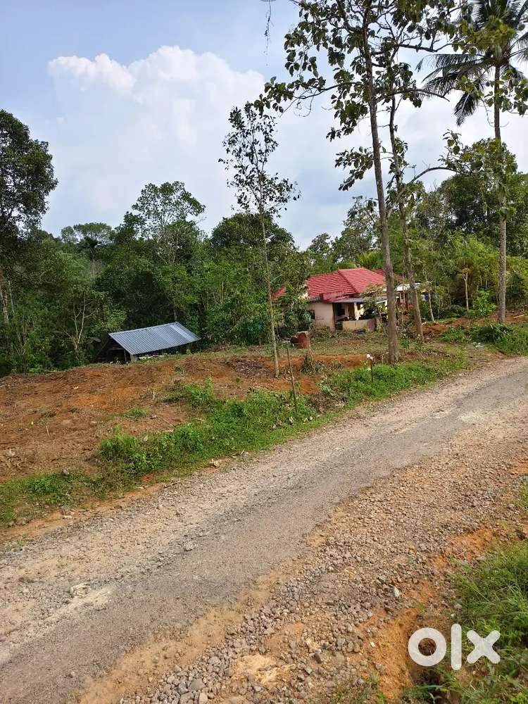 Nedungadappally 25 cent Land