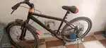 Disk brakes cycle