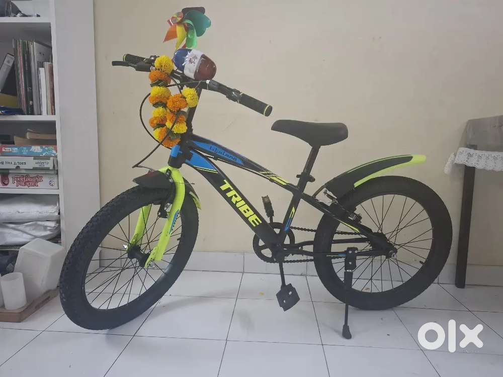 Lifelong 20T cycle for kids 5 to 8 years.