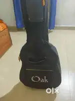 Semi Acoustic Guitar