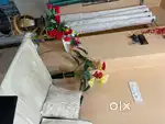 Insurance office calling female candidate