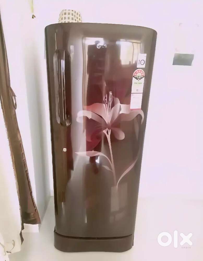 LG fridge marron colur