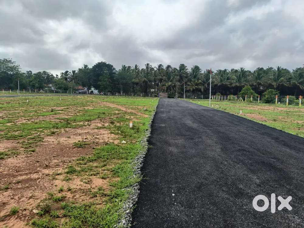 Kinathukadavu Kids Park School Near DTCP Plots For Sale
