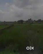 Plot in sayan olpad for sell