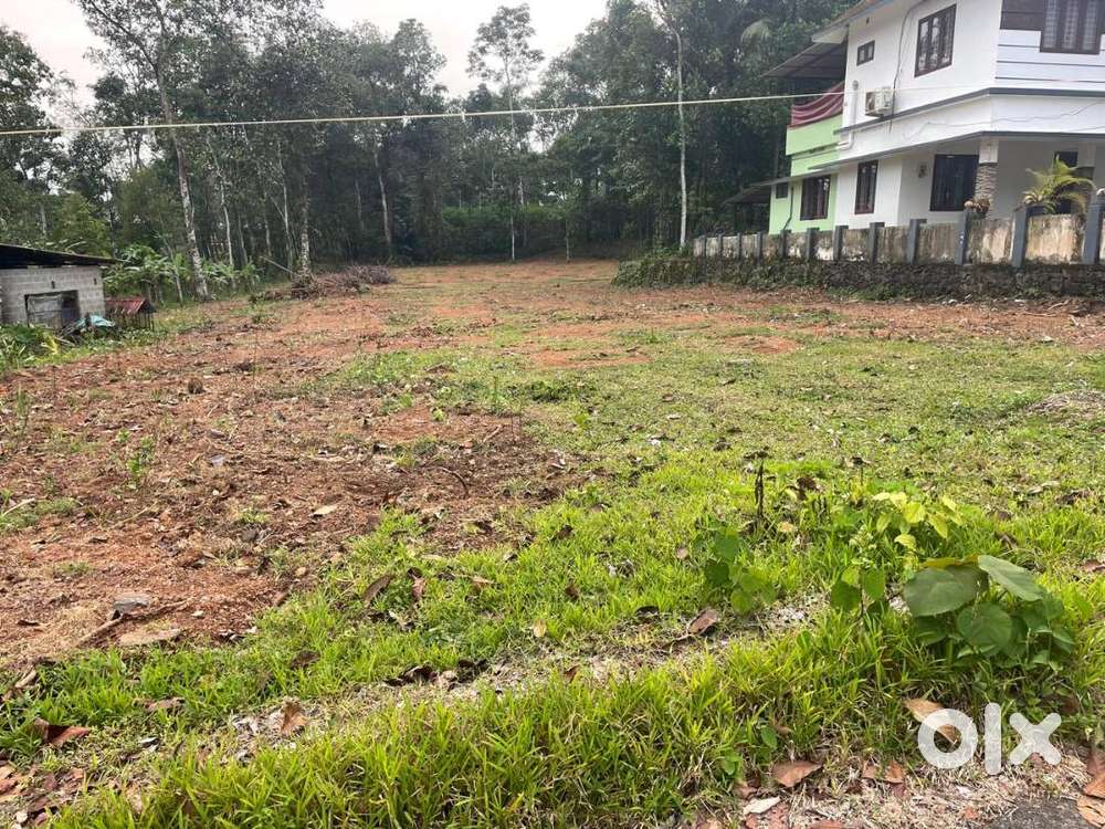 Land for Sale — Kuruppanthara area