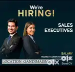 Sales Executive