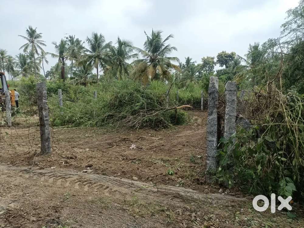 Am selling my plot  in Ayyan perumalpatti M R nagar