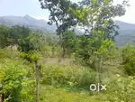 50-Cent Beautiful Land for Sale in Kathaloor, Marayoor, Munnar – ₹25 L