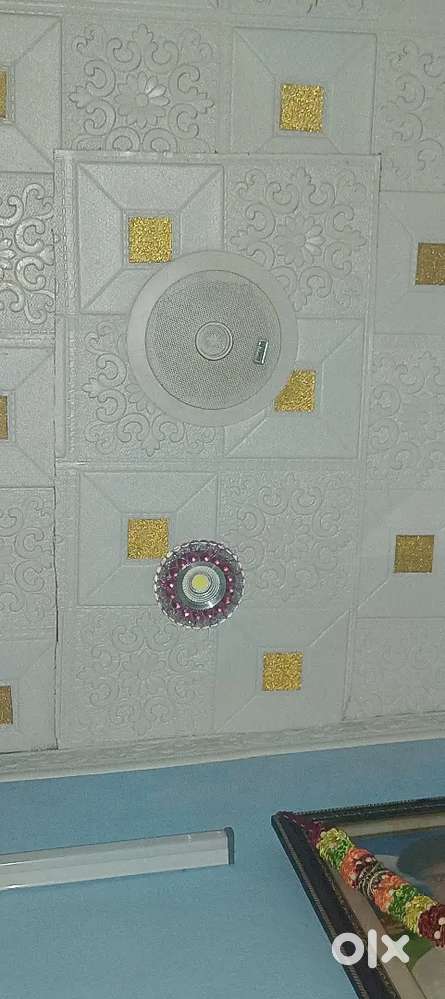 Ahuja ceiling speakers