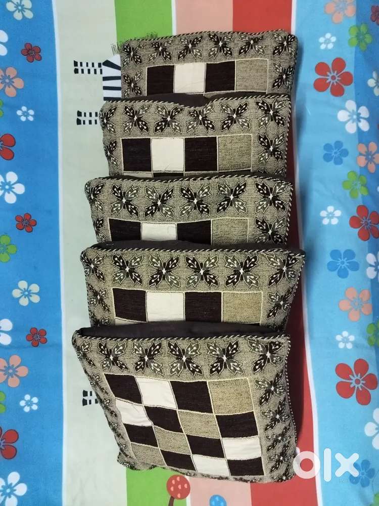 Beautiful 5 Cushions  along with  10 cover.