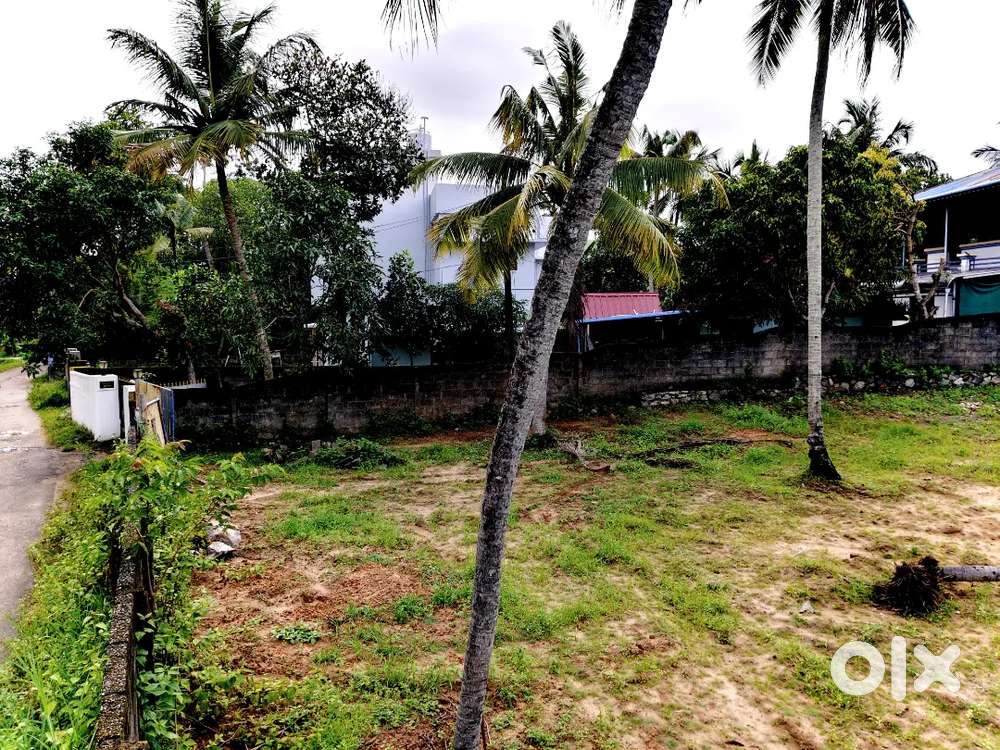 An 80 cent commercial land for sale in kaniyapuram