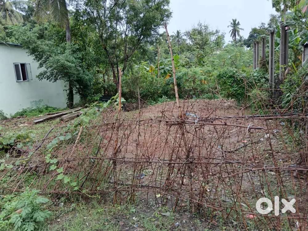 Very good Area for business and apartments