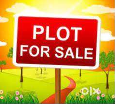 Residential Plots for Sale on Kusugal Road, Near Outer Ring Road Hubli