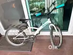 20inch cycle for 6-8 yrs