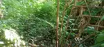 Plot for Sale in Thalavady