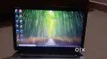 HP  Laptop