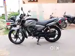 Honda shine for sale