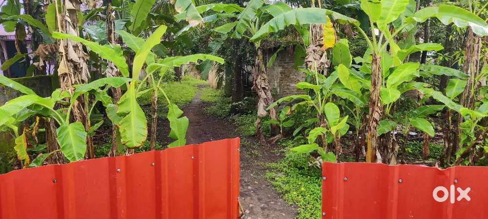 Plot for sale at Chengalam South