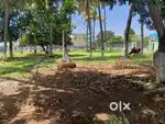 Premium Layout VILLA Plots near Tambaram