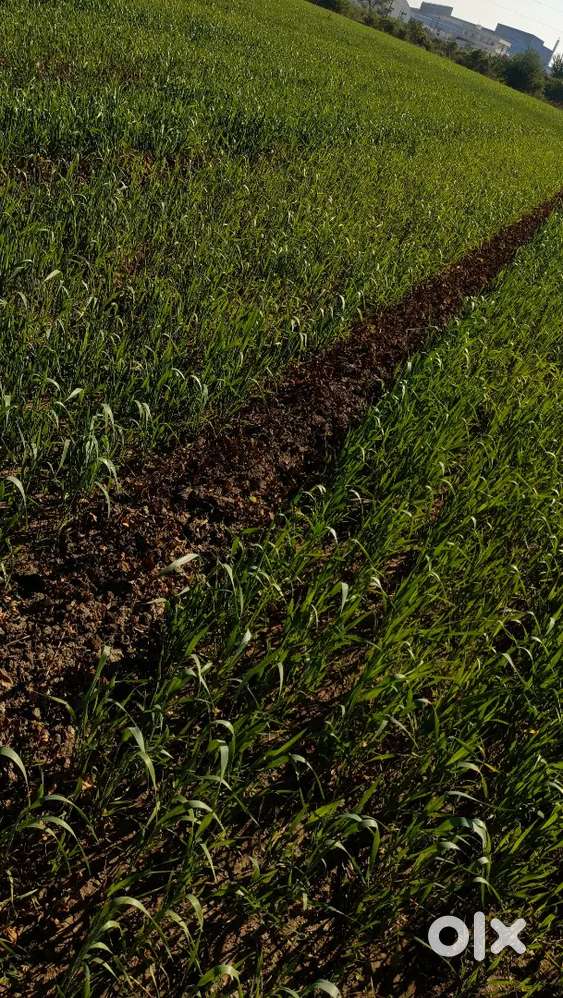 ખેતીલાયક જમીન વેચવાની છે