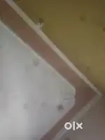 One room kitchen washroom available for single ladies or girl