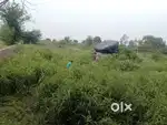 Premium Property Front Road