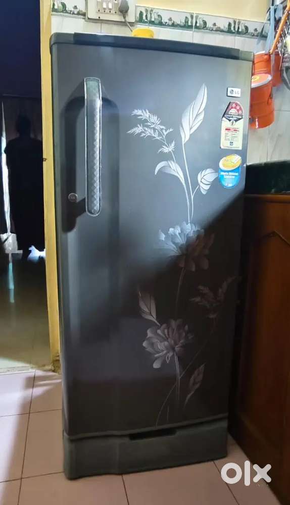 LG fridge 180Litre 5Star