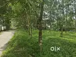 12 Cents Plot For Sale