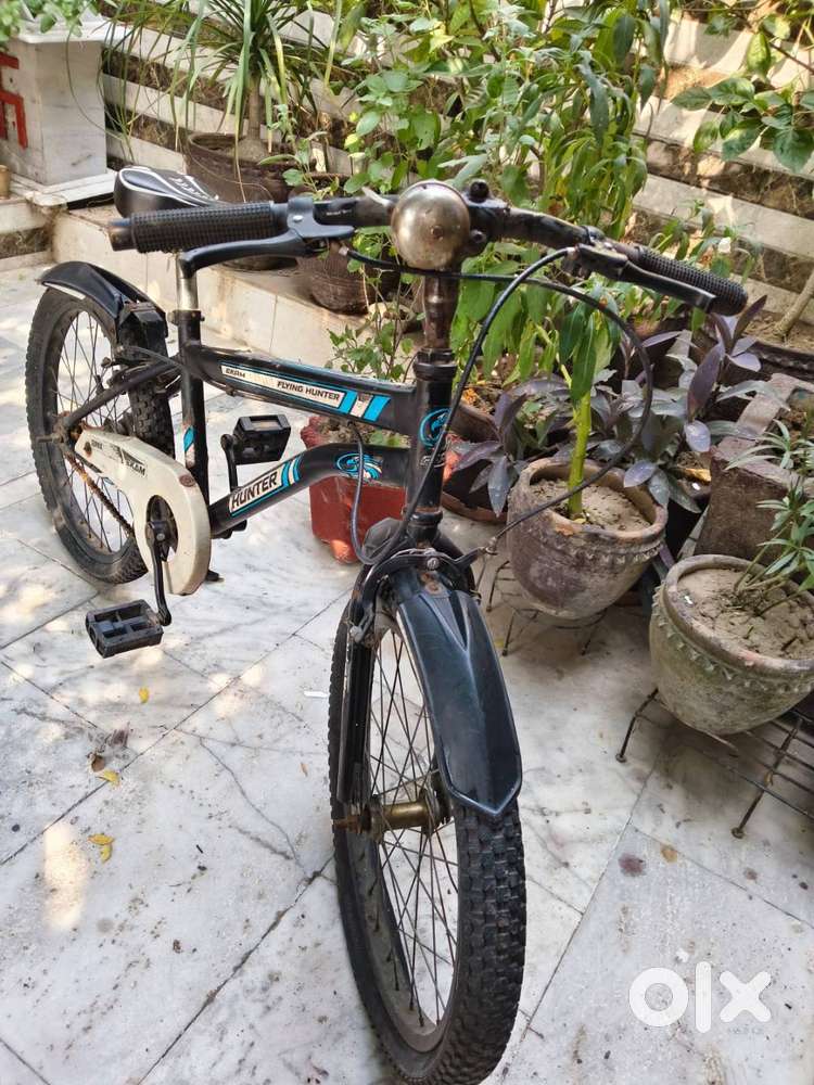 Ekam Hunter Ranger Cycle
