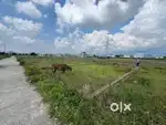 Plot for sale near prempur loshyani , haldwani.