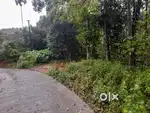 1 Acre Land with Old House for Sale at Valavucodu Mamarathu Motta