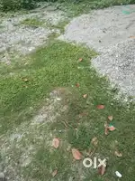 LAND FOR SALE AT NARESH MORE PAPIYA PARA