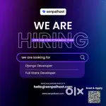 Django Developer