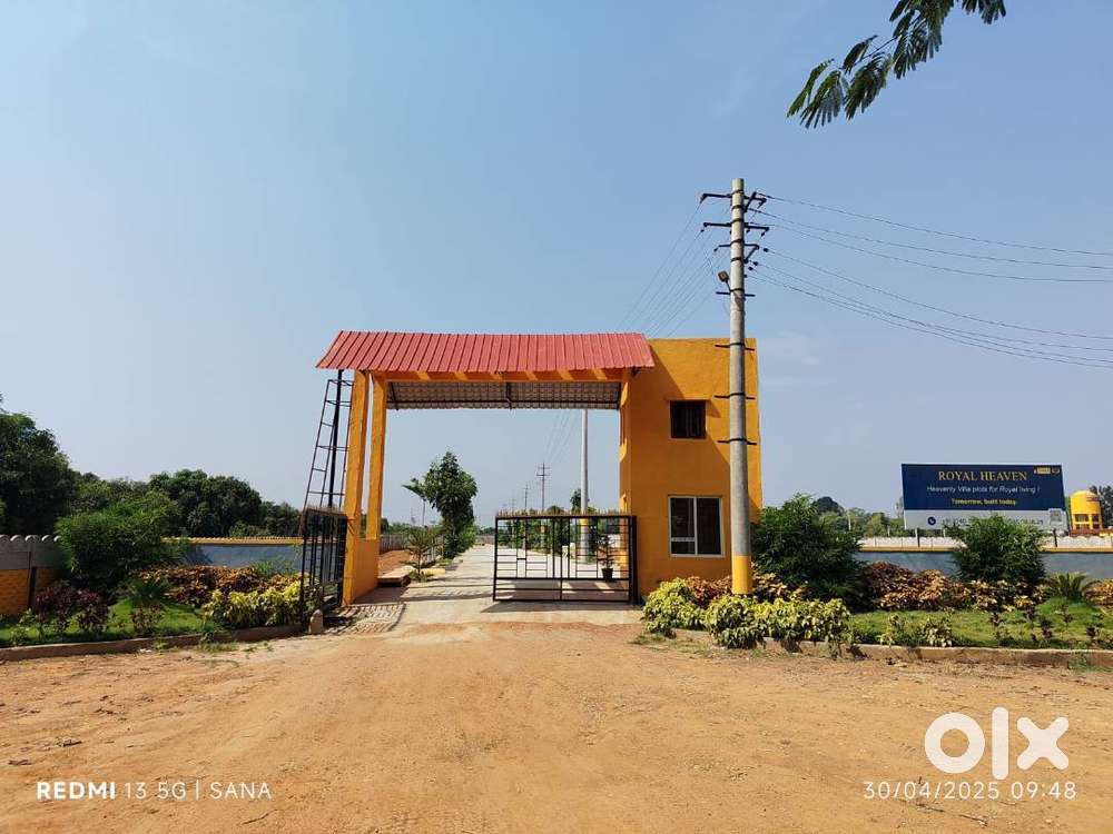 Royal Heaven by Sana