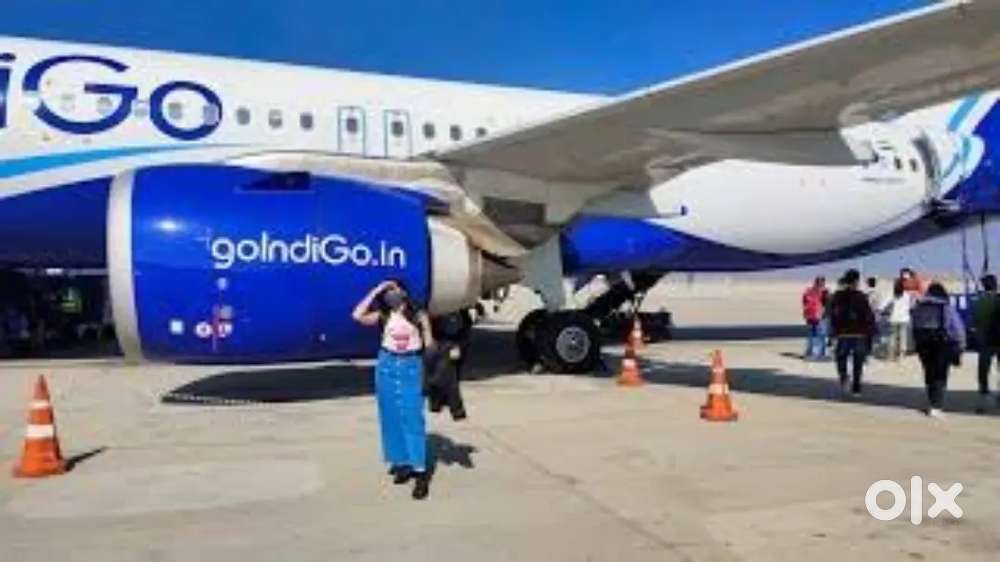 Domestic/International Airport Ground Staff Jobs in Indigo Airlines