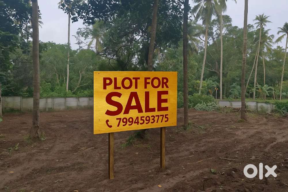 10 മുതൽ 37 സെന്റ് വരെ പാരിപ്പള്ളി ജംഗ്ഷനടത്തു NH66 നിന്നും 150 മീറ്റർ