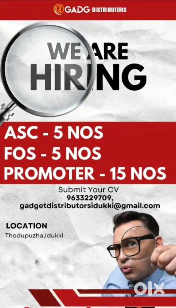AIRTEL SALES EXECUTIVE