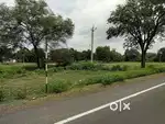 sejbahr to datrenga main road farm land