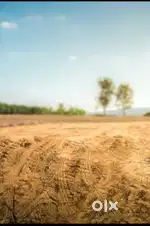 6 Cr / biga me Bakhrota Jaipur me Jamin h 40 biga