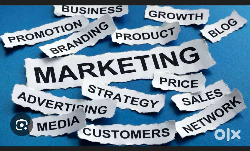 Fresher male Marketing or data collection job