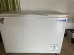 Blue Star Fridge come Cooler to store ice cream and vegetables