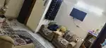 Need roommate