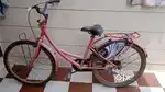 A Lady Bird Bicycle for girl. This perfect and comfortable  Bicycle