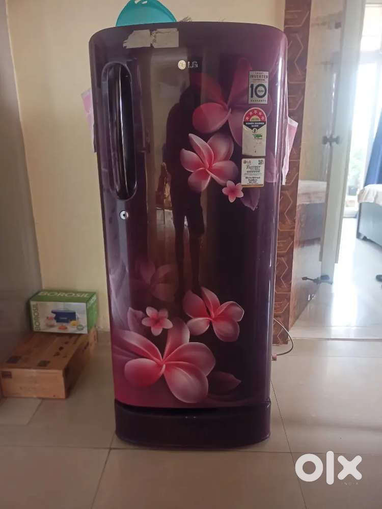 LG 195 Litre 5 Star Single Door, Smart Inverter Compressor