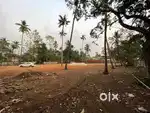 Chavara commercial land