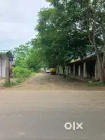 Land for sale at Seluophe (tenyimia only) 16 lakhs(negotiable)