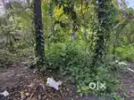 Land for rent