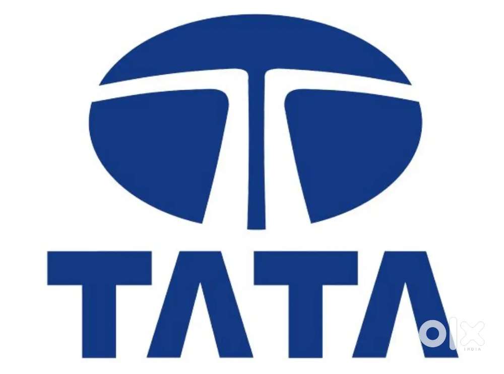 Office work for boys and girls